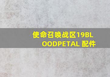 使命召唤战区19BLOODPETAL 配件